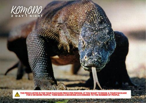 Labuan Bajo Boat Rental | Komodo Tour 2D1N
