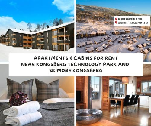 Kongsberg Apartment | Kongsberg Booking