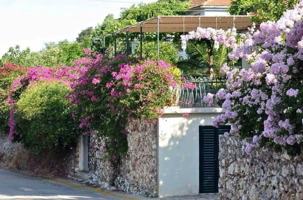 Aetos House | Konstantinas House, a touch of nature & sea