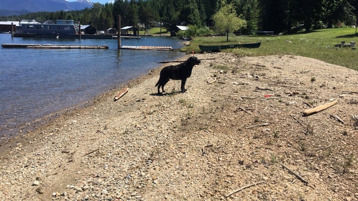 Proctor Cabin | Kootenay Lake Cottage on the Beach-Pet Friendly-Sleeps 4