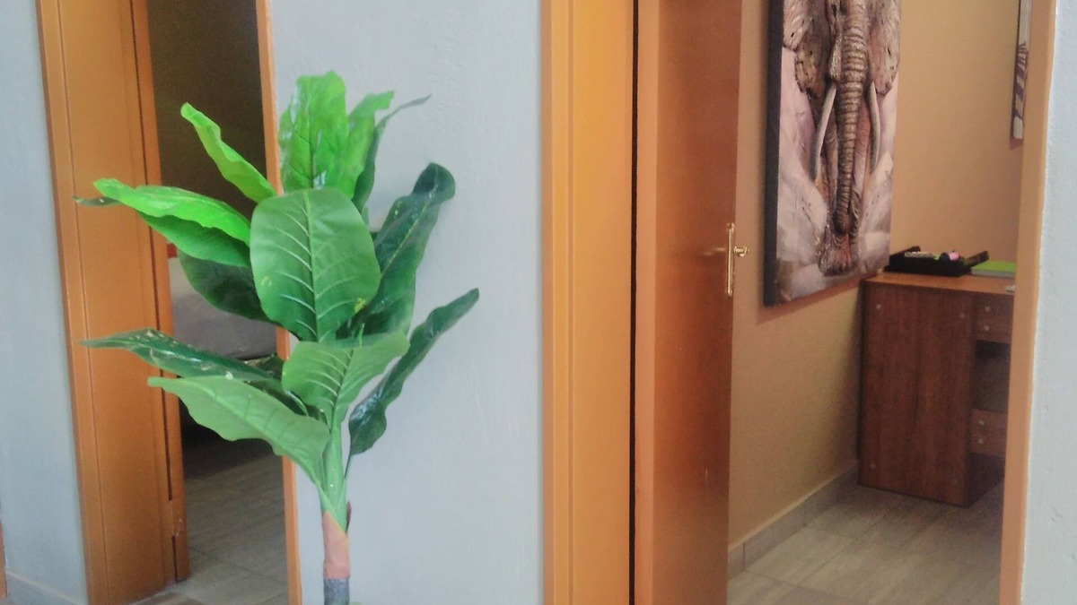 Kopong House | Kopong Guest House