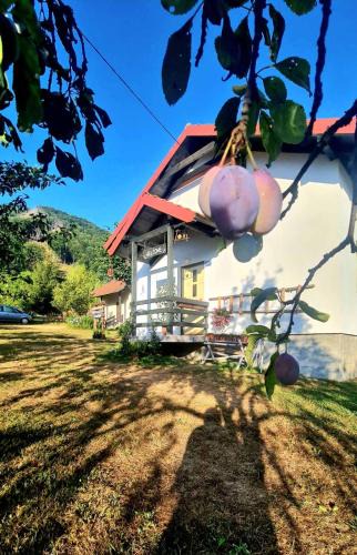 Montenegro Apartment | Kosta's romantic house