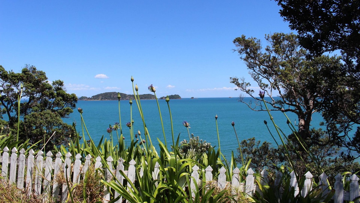 Amodeo Bay Cottage | Kotare Coastal Cottage ~ Papa Aroha