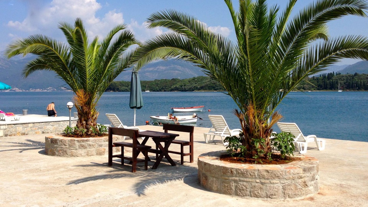 Tivat Apartment | Kotor mouth apartment, with your feet in the water!