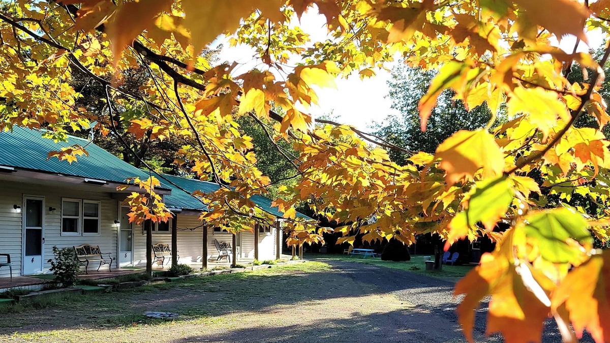 Saint Louis de Kent Hotel | Kouch Chalets