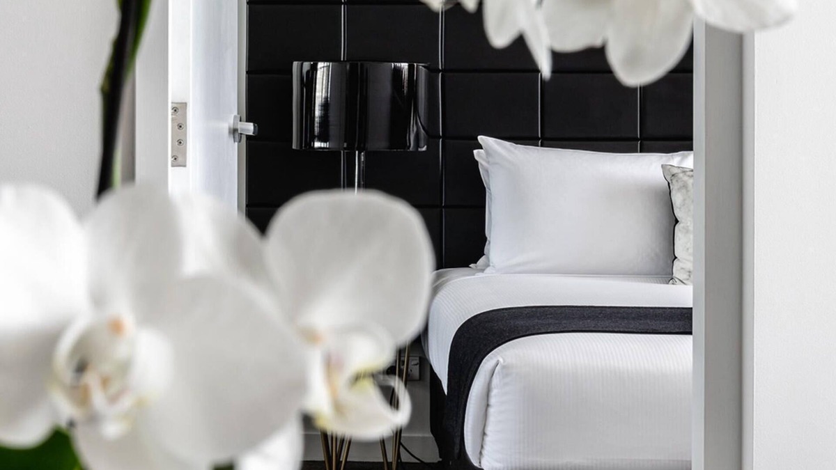 Chatswood CBD Apartment | KOZYGURU Chatswood Luxury Studio