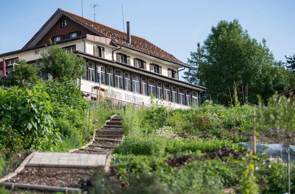 Rigi Kaltbad Hotel | Kräuterhotel Edelweiss