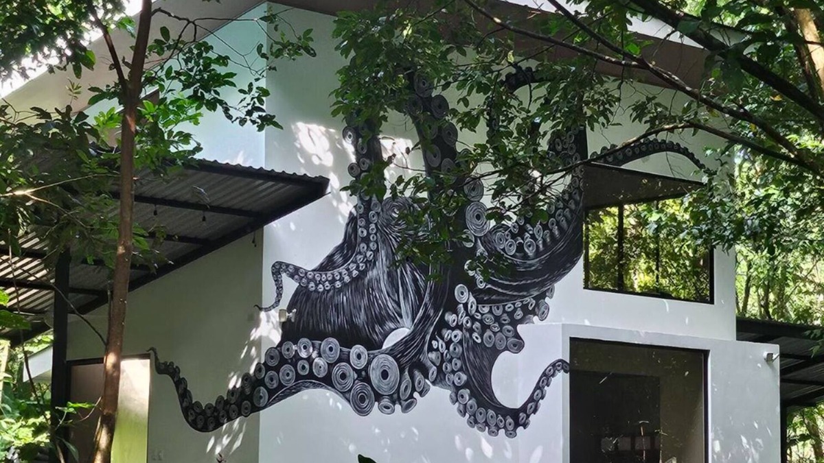 Agujas House | Kraken Cabin-escape in the jungle, abundance of wildlife, walk to Golfito Bay.