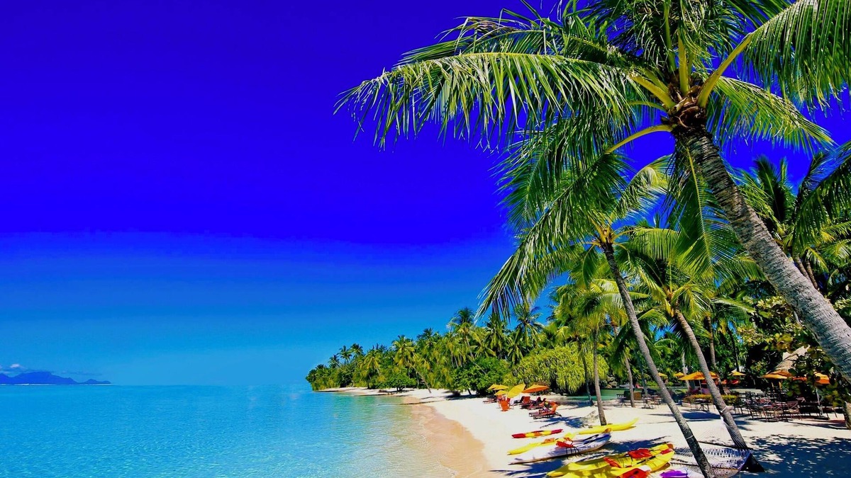 Playa Hotel | Kralendijk Boutique Hotel