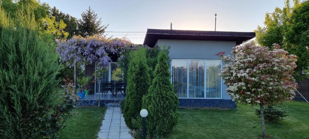 Krapets Villa | Krapets Holiday Villas