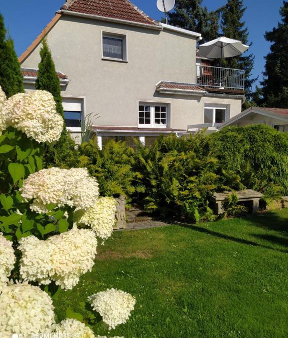 Bad Liebenwerda Apartment | Kreativ Ferienwohnung Domizil der Sinne