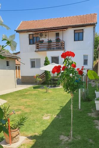 Apatin Apartment | Kuća Amazonija