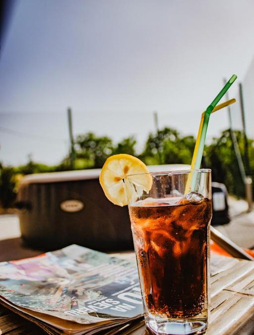 Donji Koncovcak House | Kuća za odmor Nina