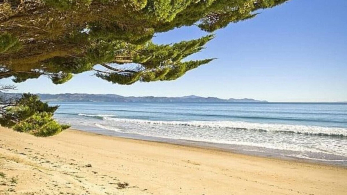 Kuaotunu House | Kuaotunu Beachfront - the beach at your door