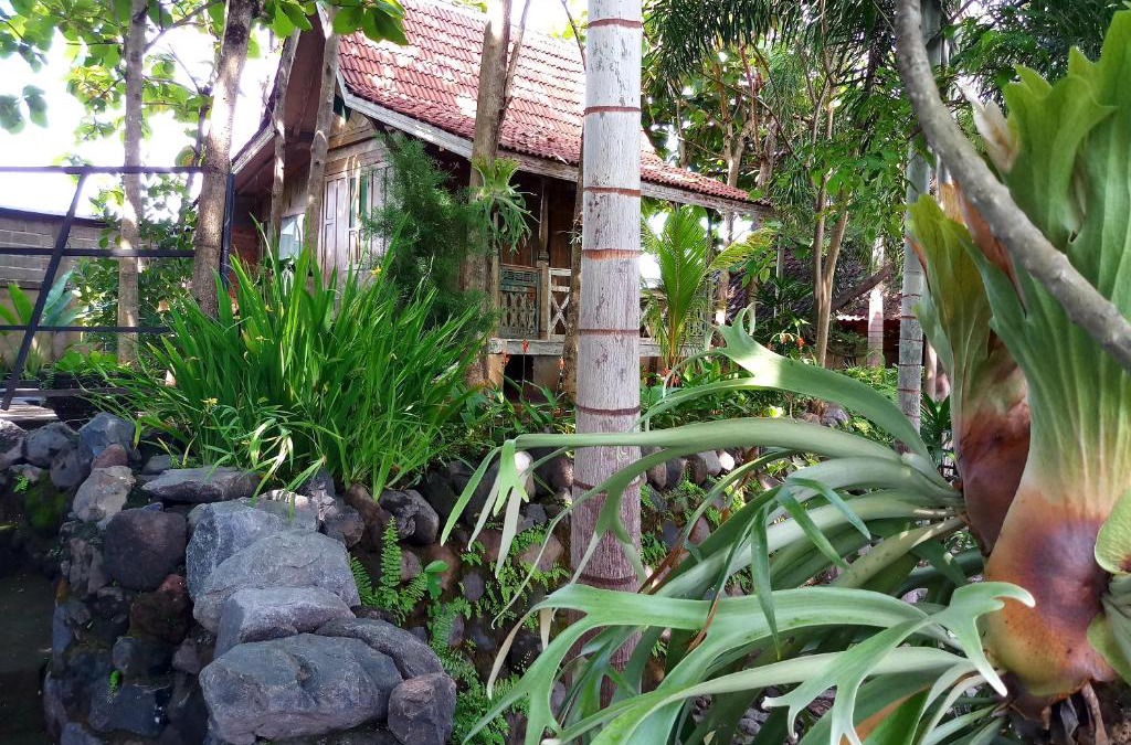 Buleleng House | Kubu Reod