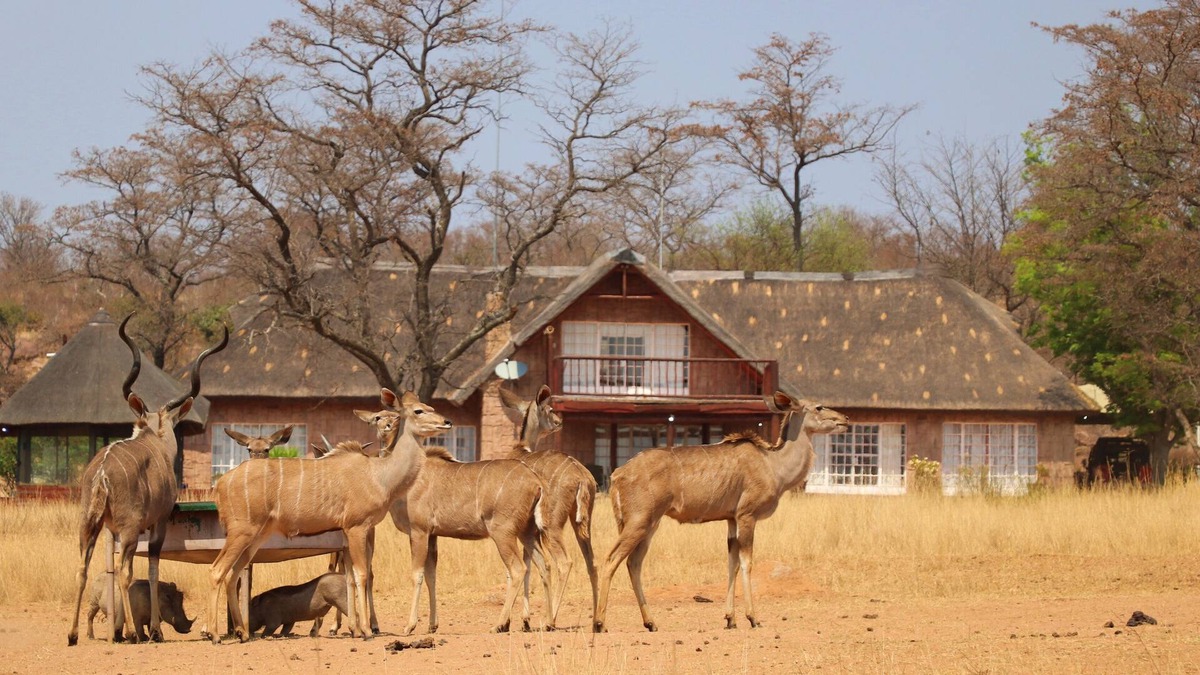 Waterberg Cabin | Kudumela Bush Lodge