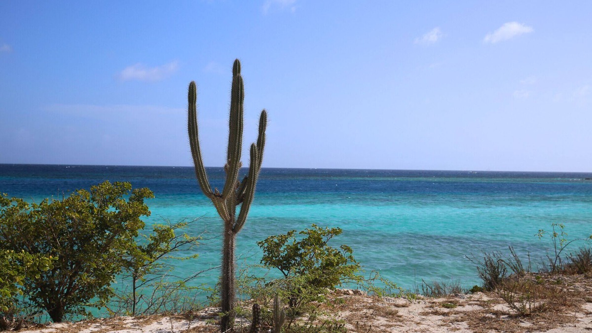 Pos Chiquito Apartment | Kukwisa Retreat - 2BR Apartment