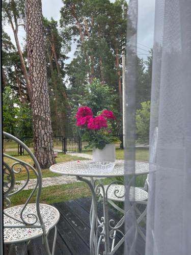 Kaunas County House | Kulautuva Park Apartments