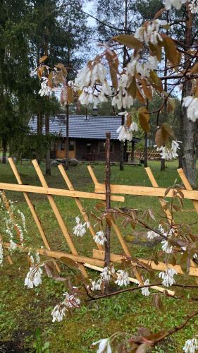 Saaremaa House | Kuldvitsa puhkemaja saunaga