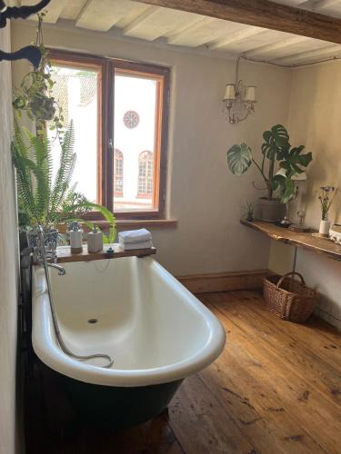 Talsi House | Kurte