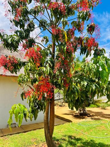 Moses Kotane House | kwamapulaneng guest house