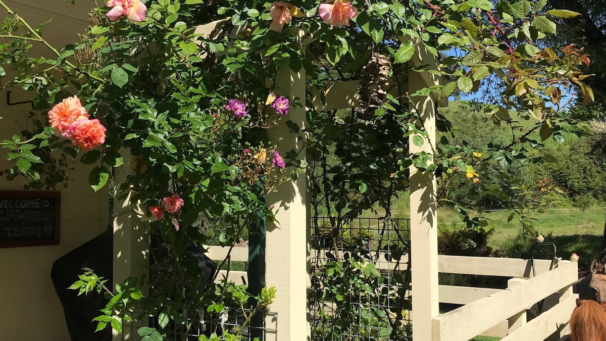 Geeveston Cottage | Kymmik Cottage - A slice of Tasmanian paradise
