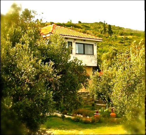 Kato Vrontou Apartment | Kyra's Paradise