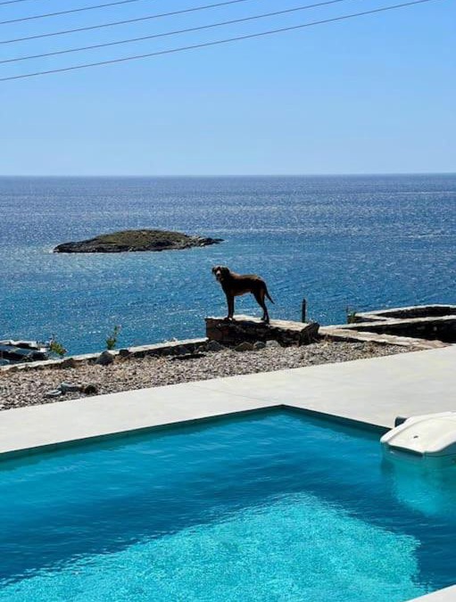 Kithnos Villa | Kythnos beachfront villa with swimming pool