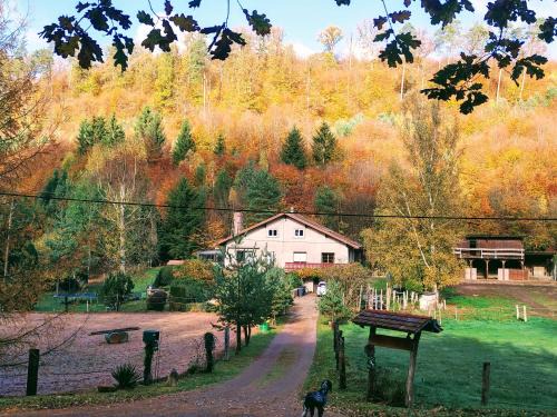 Soucht House | L'échappée verte - gîte equestre 5 pers