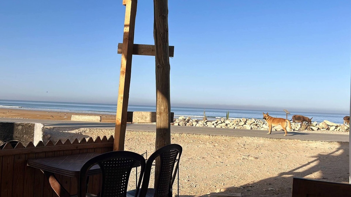 Sidi Kaouki House | L'abri De La Plage (The Pool House)