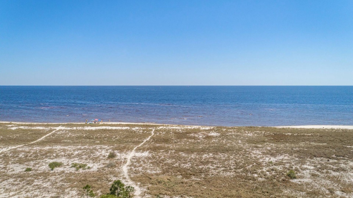 Alligator Point House | "L'Abri Sunrise" Secluded Bald Point Beachfront Haven with Screened Porch & Pet-Friendly Charm!