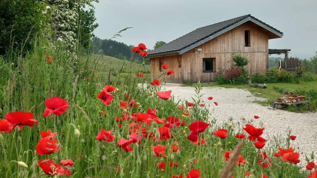 Charchilla Ski Chalet | L'abrier éco Maison Bois Proche des Lacs et de la Nature, Calme Garanti !