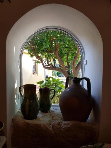Riola Sardo House | L'AGRUMETO SEGRETO