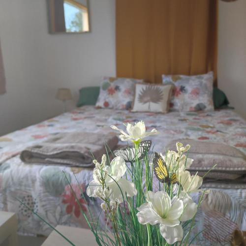 Sainte-Cecile Bed & Breakfast | L'Ambréenne