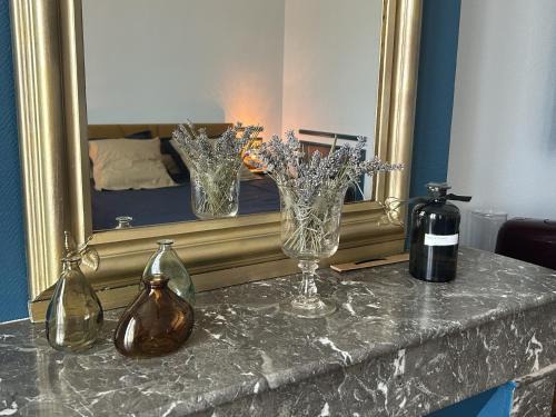 Soussans Bed & Breakfast | L'Amphore du clos de Bigos