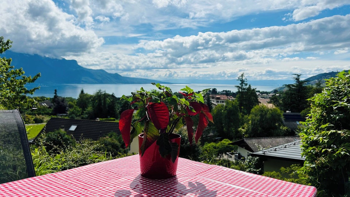 Saint-Legier-La Chiesaz Apartment | L'Appart Riviera panoramic view