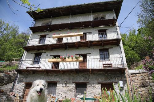 Macra House | L'ARAMU - Casa Antonietta - Aramola di Macra