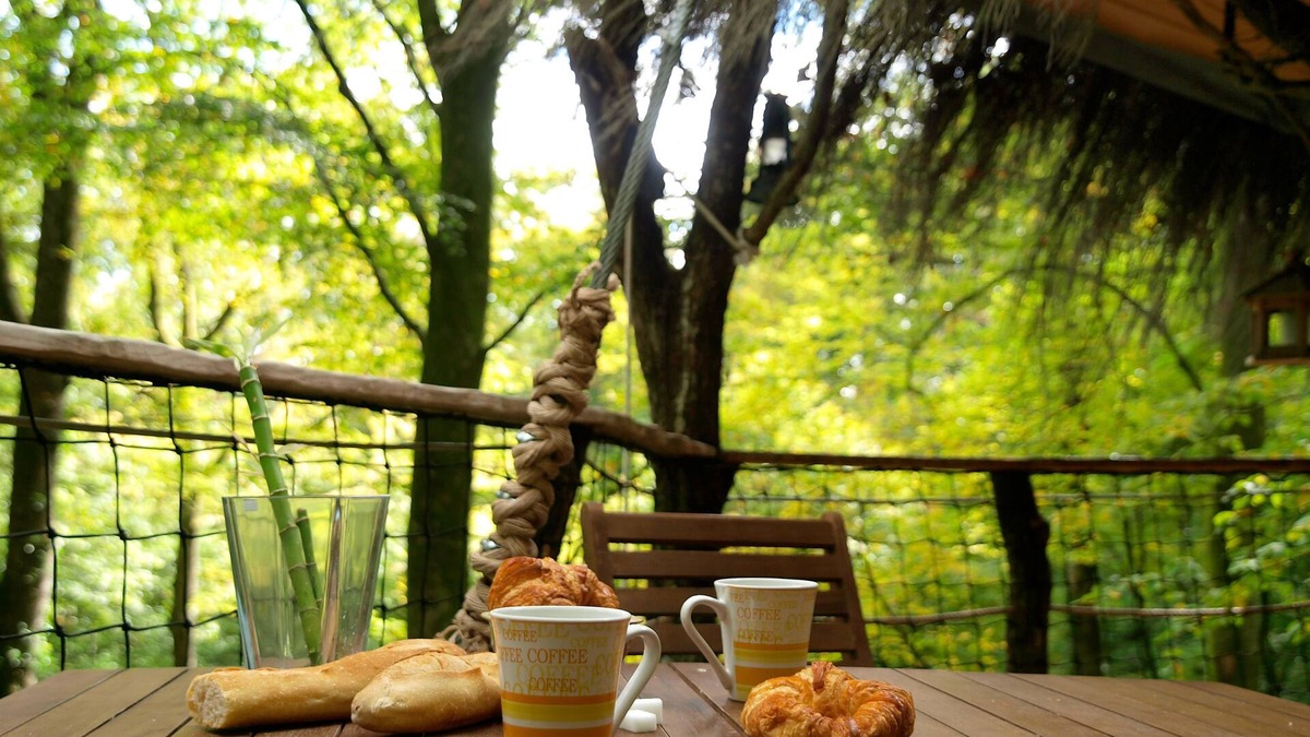 Guyonvelle House | L'Arbre à Cabane