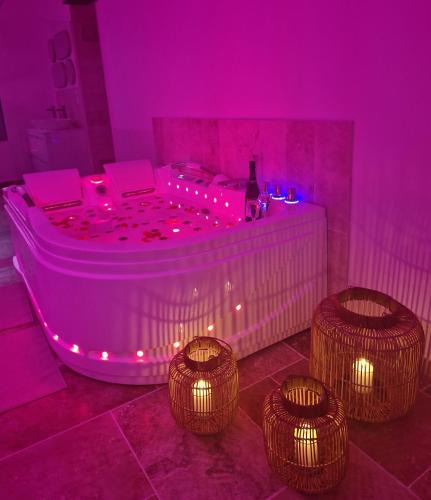 Veuzain-sur-Loire Apartment | L'audacieuse-Jacuzzi et sauna , miroir suspendu