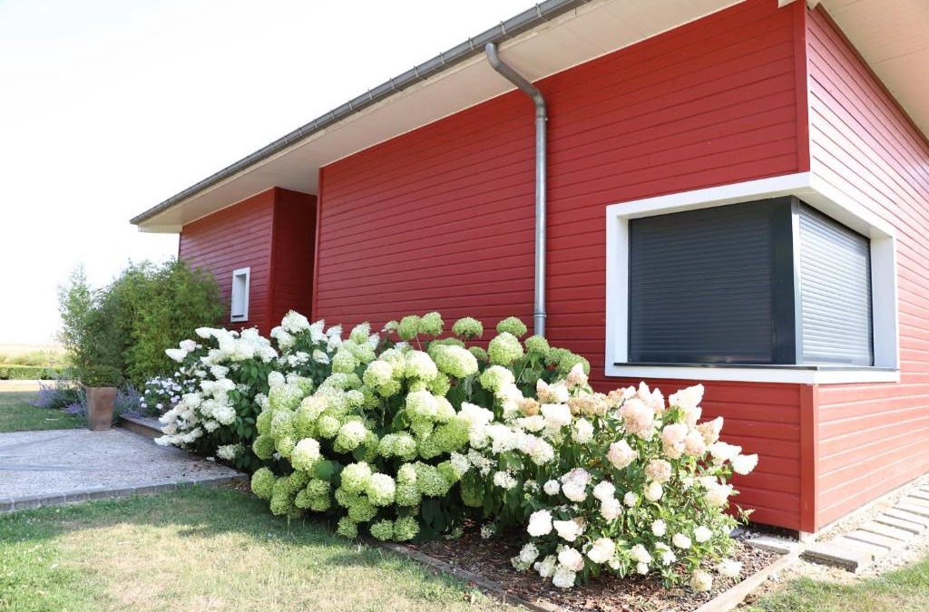 Rouy-le-Petit Bed & Breakfast | L'escale Aux Framboises