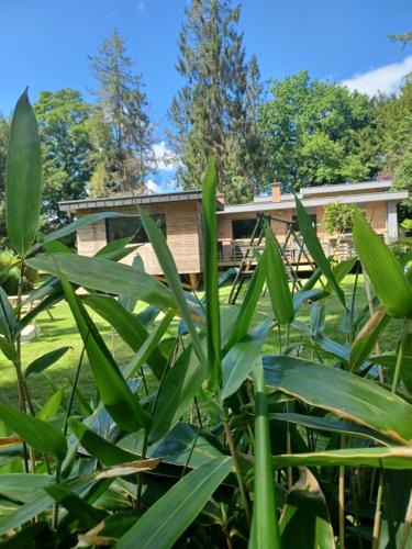 Saint-Laurent-Blangy Bed & Breakfast | L'hôthentique proche Arras