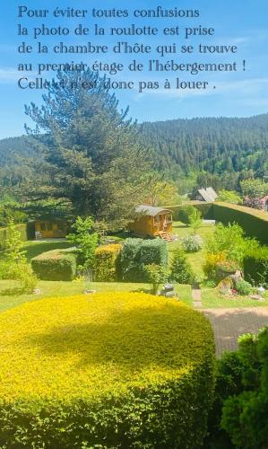Wangenbourg-Engenthal House | L’hippocampe