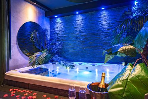 Trois Cocus - Borderouge - Croix-Daurade - Paleficat Apartment | L’Insolite, Spa Privatif (Appartement Jacuzzi)
