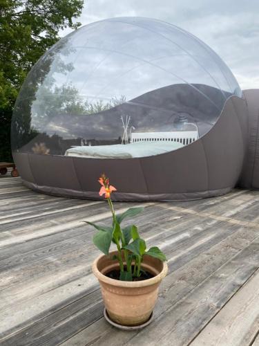 Mettet Other | L' Instant d' une nuit