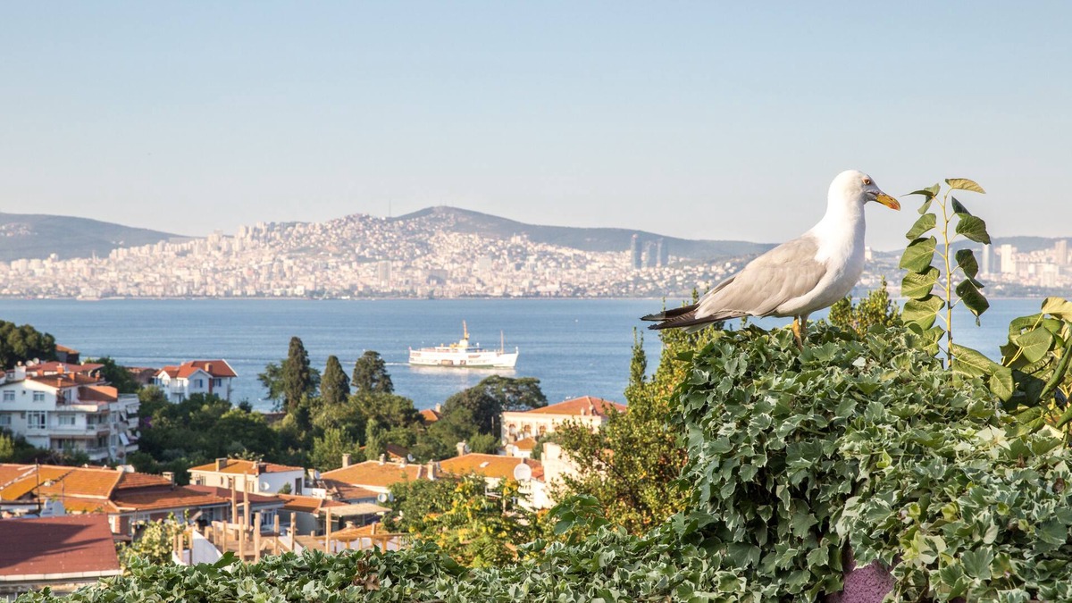 Adalar House | L'isola Guesthouse - Adults Only