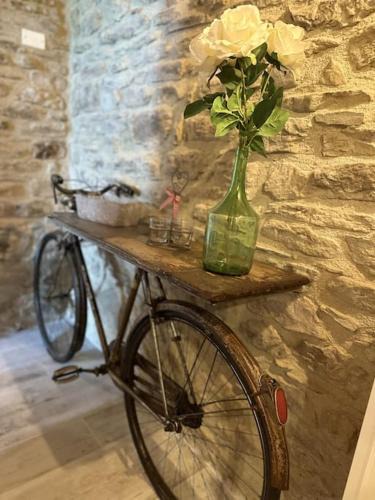 Borghetto House | L'oasi delle volpi