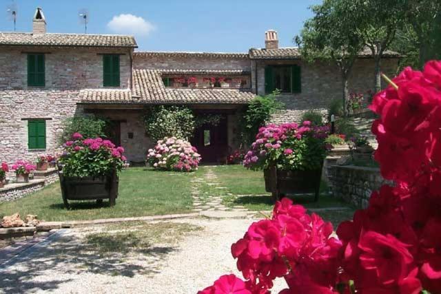 Assisi Apartment | L'Oasi