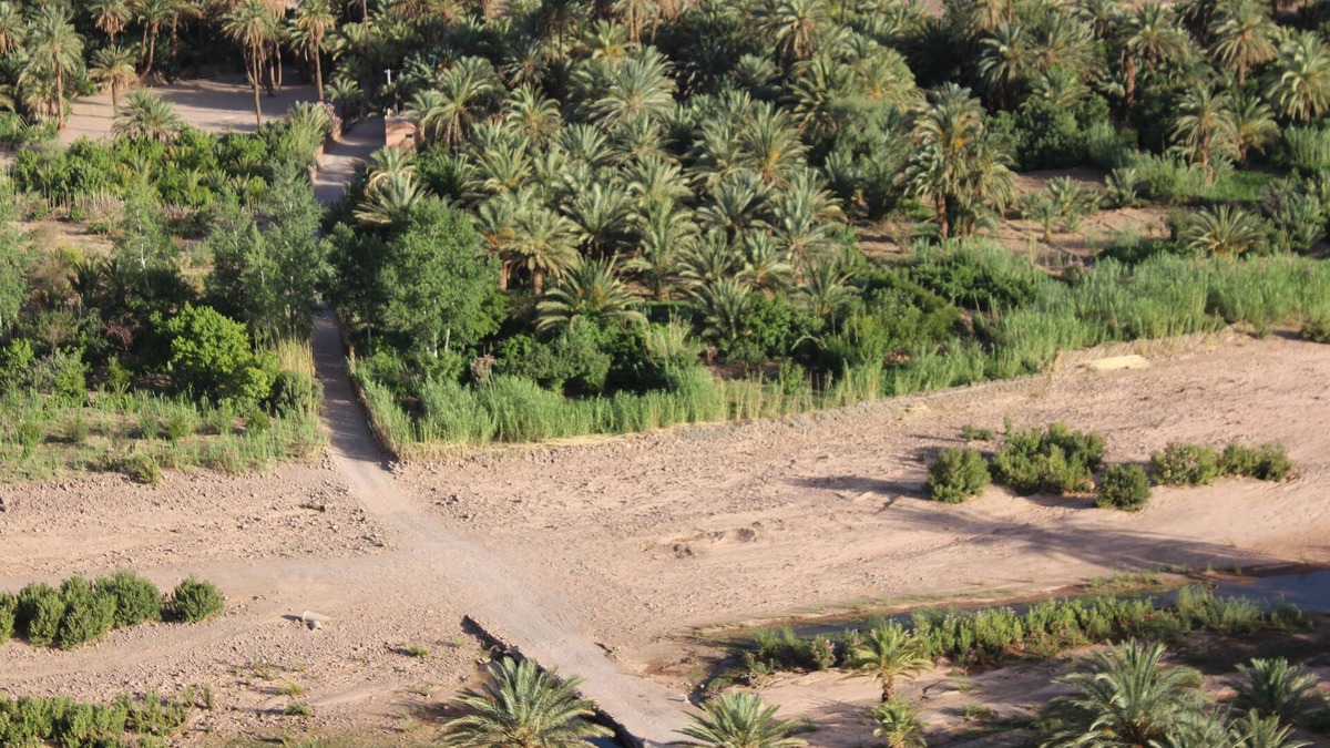 Fint Bed & Breakfast | L'oasis de Fint guest house