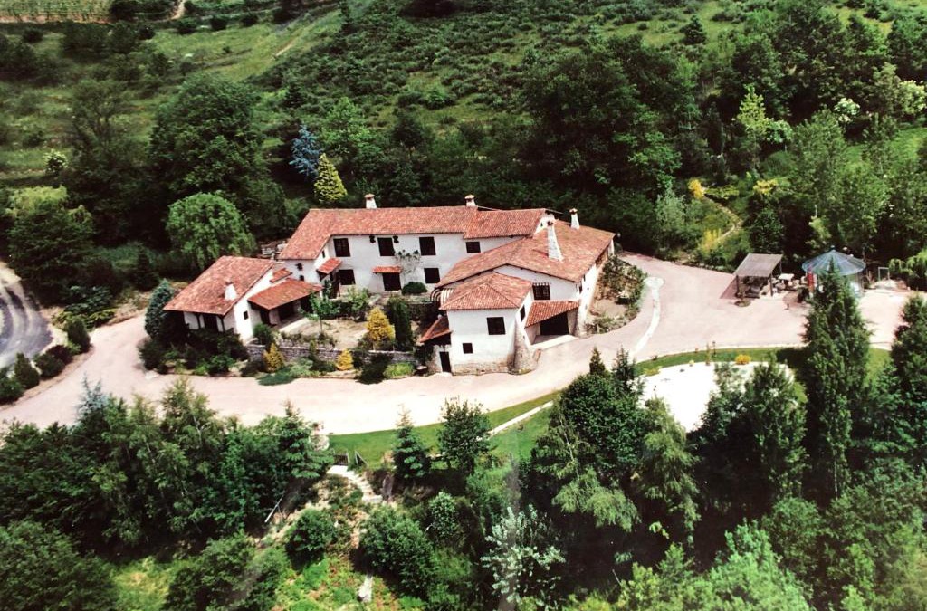 Courpiere Apartment | L'Orée des Bois