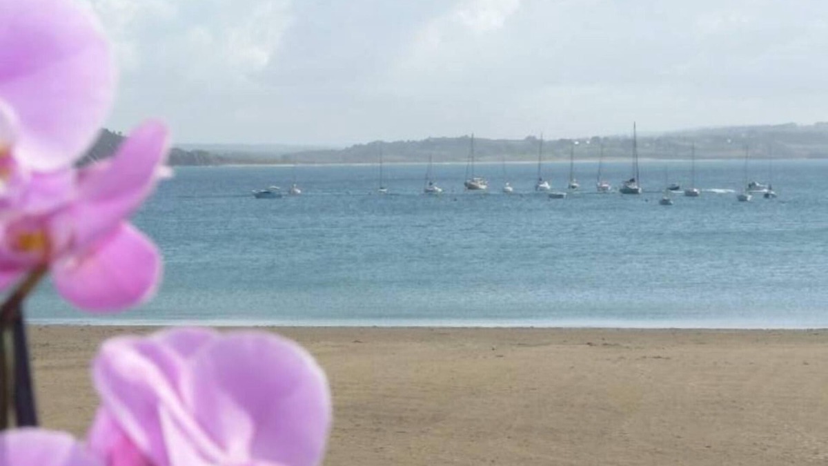 Morgat Apartment | L'ORMEAU - BREATHTAKING VIEWS OF CROZON MORGAT BEACH